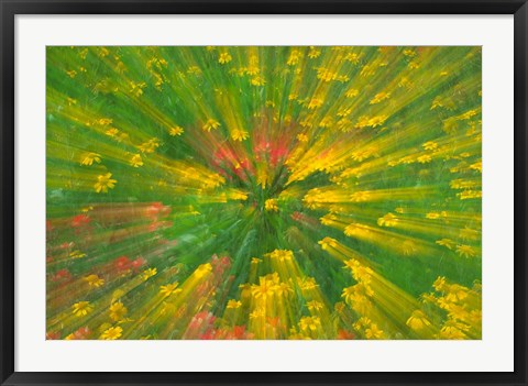 Framed Garden Abstract Print