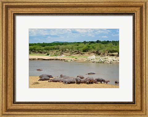 Framed Hippopotamus, Mara River, Serengeti NP, Tanzania Print