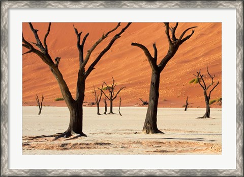 Framed Dead trees with sand dunes, Namibia Print