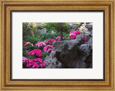 Framed Flowers and Rocks in Traditional Chinese Garden, China Print