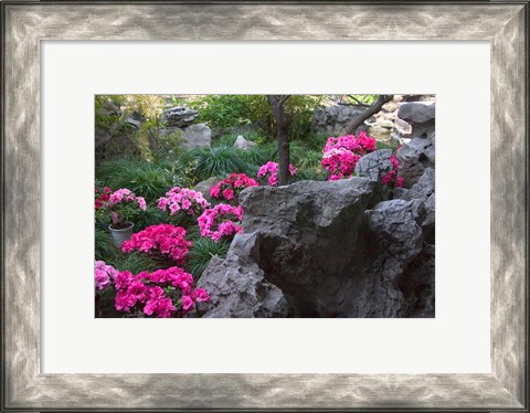 Framed Flowers and Rocks in Traditional Chinese Garden, China Print