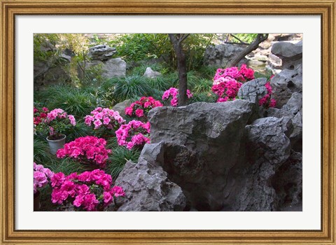 Framed Flowers and Rocks in Traditional Chinese Garden, China Print