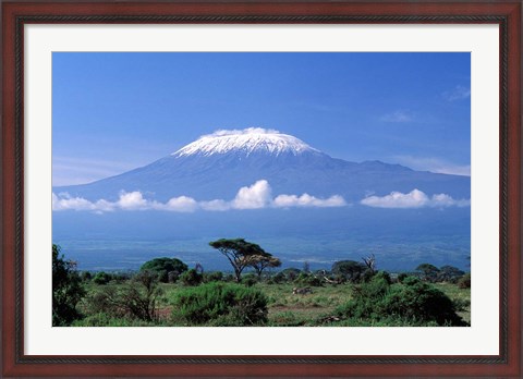 Framed Africa, Tanzania, Mt Kilimanjaro, landscape and zebra Print