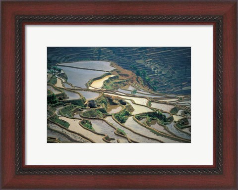 Framed Flooded Rice Terraces of Honghe, China Print