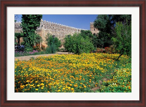 Framed Gardens and Crenellated Walls of Kasbah des Oudaias, Morocco Print