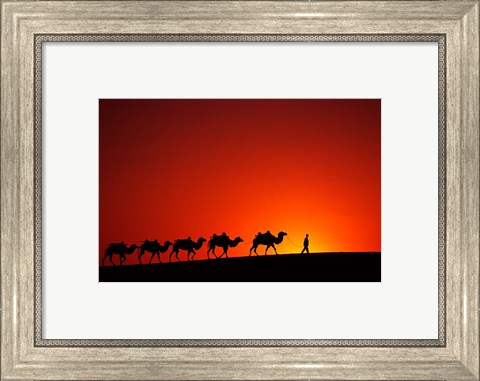 Framed Camel Caravan at Sunrise, Silk Road, China Print