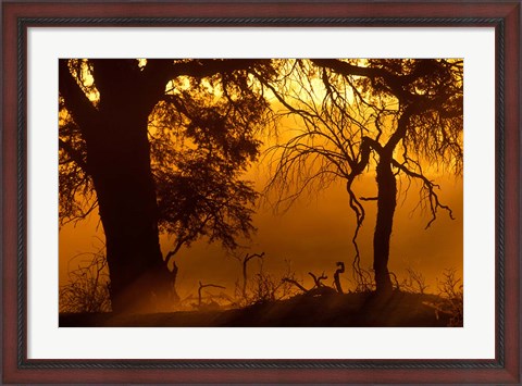 Framed Dust Hanging in Air, Auob River Bed, Kgalagadi Transfrontier Park, South Africa Print