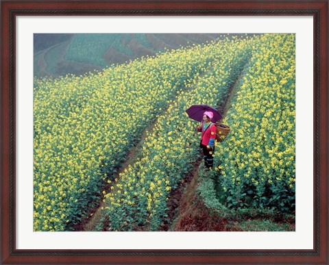 Framed Chinese Woman Walking in Field of Rapeseed near Ping&#39; an Village, Li River, China Print