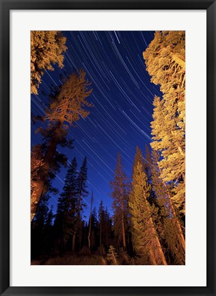 Framed Star trails above campfire lit pine trees in Lassen Volcanic National Park Print