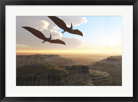 Framed Two Pterodactyl flying dinosaurs soar above a beautiful canyon Print