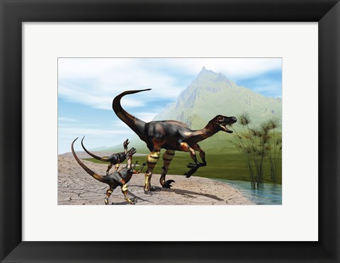 Framed Velociraptor offspring beg mother dinosaur for food near a pond Print