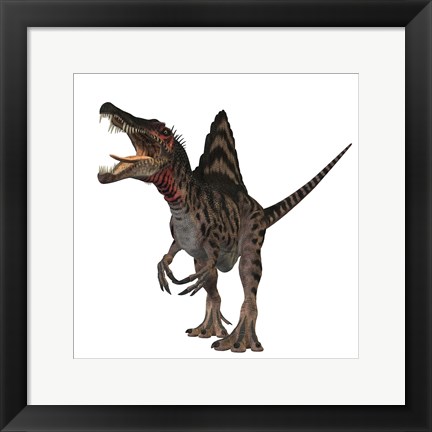 Framed Spinosaurus dinosaur Print