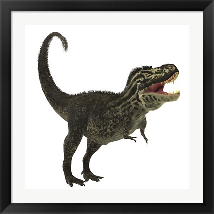 Framed Tyrannosaurus Rex, a large predatory beast of the Cretaceous period Print