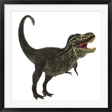 Framed Tyrannosaurus Rex, a large predatory beast of the Cretaceous period Print