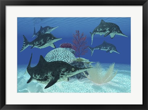 Framed group of large Ichthyosaurus marine reptiles swimming in prehistoric waters Print