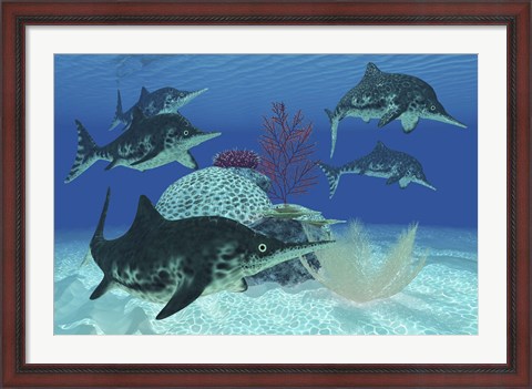 Framed group of large Ichthyosaurus marine reptiles swimming in prehistoric waters Print