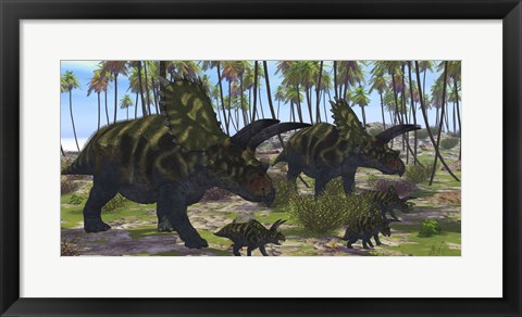 Framed Two mother Coahuilaceratops escort their baby hatchlings Print