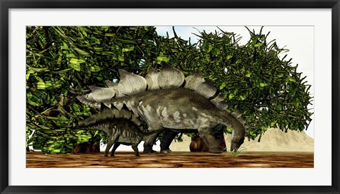 Framed Stegosaurus baby looks to its mother for guidance Print