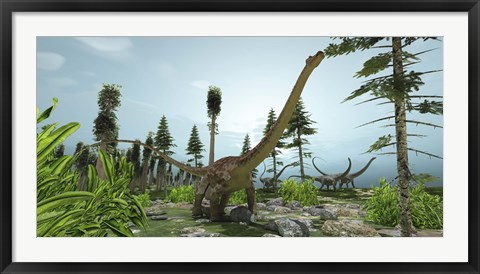 Framed herd of Diplodocus dinosaurs graze on trees Print