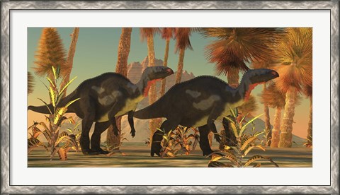 Framed Camptosaurus dinosaurs wander through a prehistoric jungle Print
