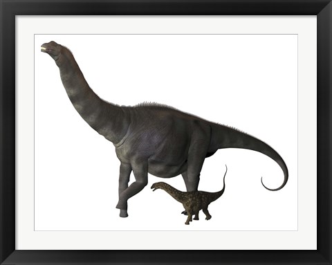 Framed Argentinosaurus and juvenile Print