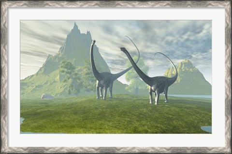 Framed Diplodocus dinosaurs walk together in the afternoon in the prehistoric age Print