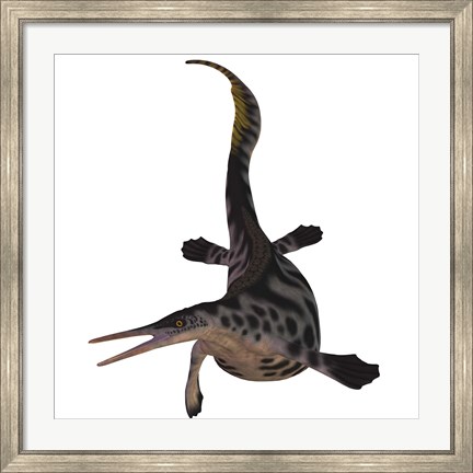 Framed Hupehsuchus, a genus of marine reptile that lived during the Triassic Period Print