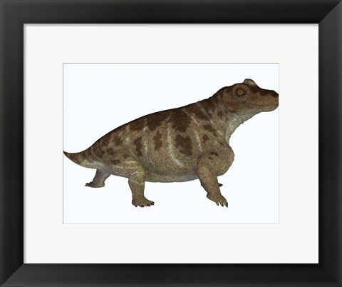 Framed Keratocephalus, a semi-aquatic dinosaur from the Permian Age Print