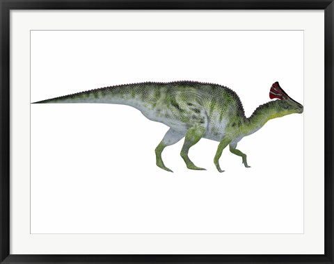 Framed Olorotitan, a duckbilled dinosaur from the Cretaceous Period Print