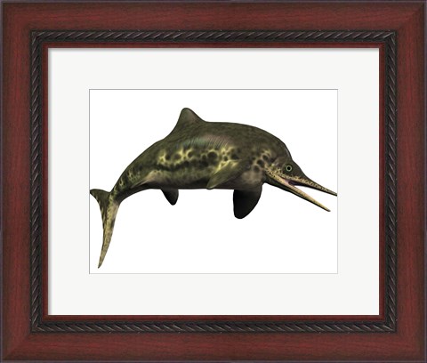 Framed Stenopterygius was an ichthyosaur from the Jurassic Period Print