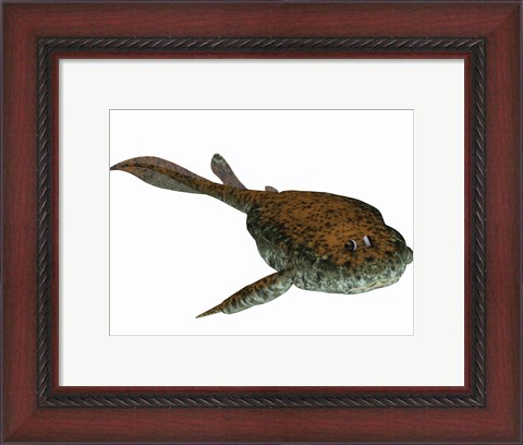 Framed Bothriolepis, a freshwater detritivore from the Devonian Period Print