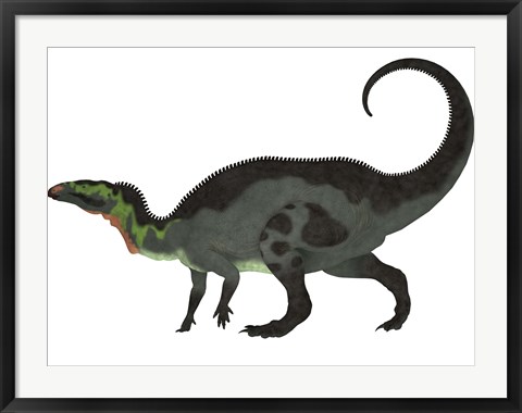 Framed Camptosaurus, a herbivorous dinosaur from the Late Jurassic Period Print