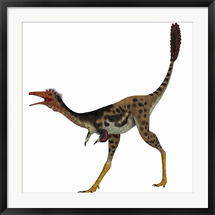 Framed Mononykus, a theropod dinosaur from the late Cretaceous Print