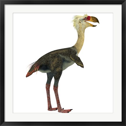 Framed Phorusrhacos, an extinct genus of flightless predatory birds Print