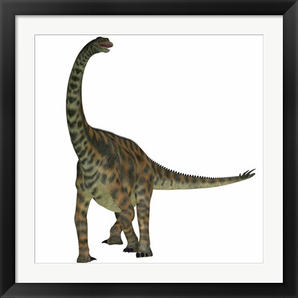 Framed Spinophorosaurus is a sauropod dinosaur from the Jurassic Period Print