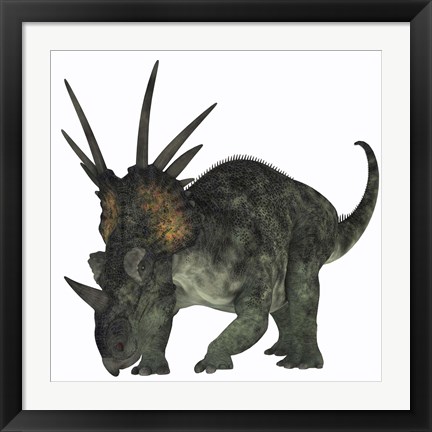 Framed Styracosaurus, a herbivorous ceratopsian dinosaur Print