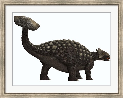 Framed Ankylosaurus, a heavily armored dinosaur from the Cretaceous Period Print