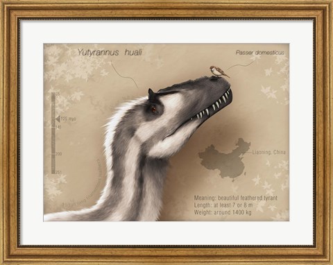 Framed Yutyrannus huali is a feathered tyrannosauroid from the Early Cretacous of China Print