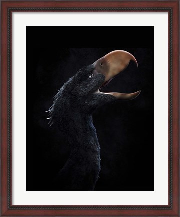 Framed Andalgalornis steulleti, a flightless predatory bird Print