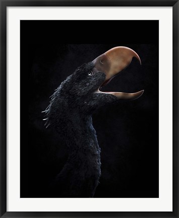 Framed Andalgalornis steulleti, a flightless predatory bird Print