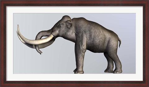 Framed Profile view of Columbian Mammoth Print