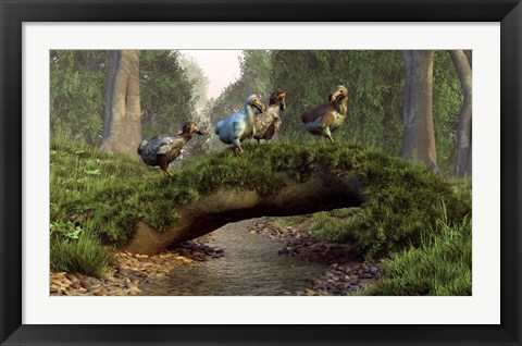 Framed group of Dodo birds crossing a natural bridge over a stream Print