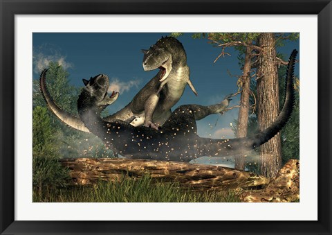Framed couple of Carnotaurus dinosaurs fighting Print