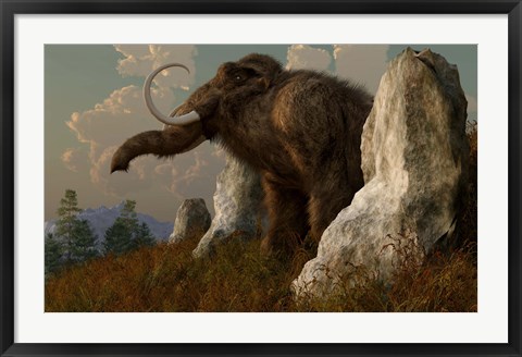 Framed mammoth standing among stones on a hillside Print