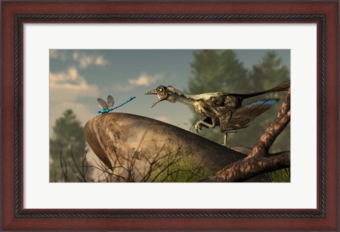 Framed Archaeopteryx stalks a dragonfly on a rock Print