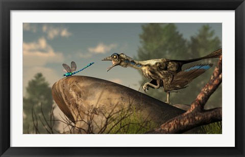 Framed Archaeopteryx stalks a dragonfly on a rock Print