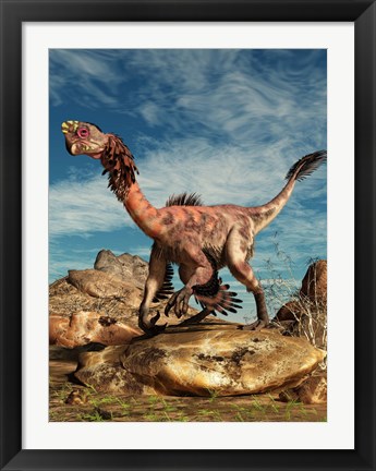 Framed Citipati on a rock in an arid landscape Print