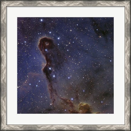 Framed Elephant&#39;s Trunk Nebula in the star cluster IC 1396 Print