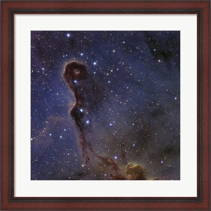 Framed Elephant&#39;s Trunk Nebula in the star cluster IC 1396 Print