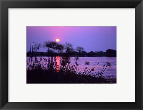 Framed Kenya. Sunset reflects through silhouetted reeds. Print